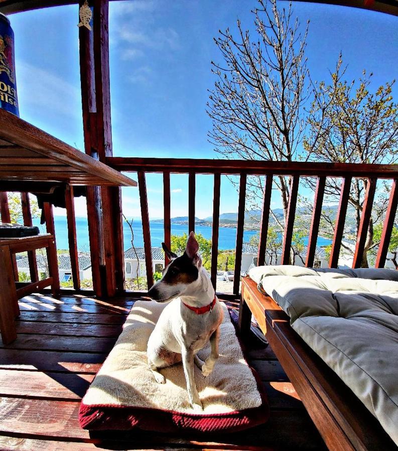 Mobile Home Fantasea Novi Vinodolski Dış mekan fotoğraf